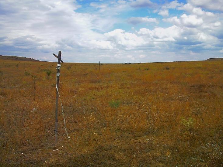 Каштани з panoramio.com - Каштани
