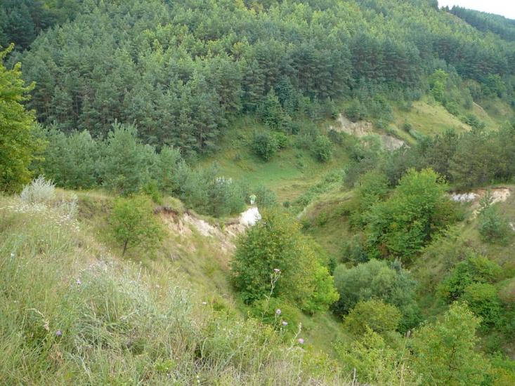 Браїлівка з panoramio.com - Брайловка