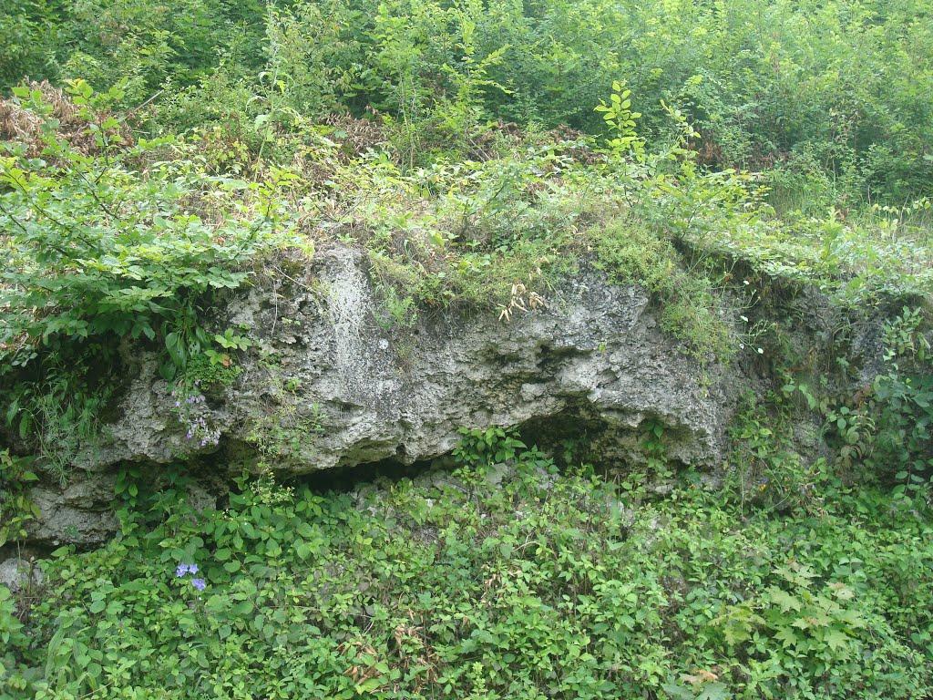 Сахкамінь з panoramio.com - Сахкамень