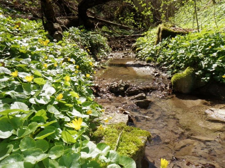 Врублівці з panoramio.com - Врублевцы