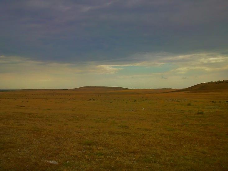 Каштани з panoramio.com - Каштани