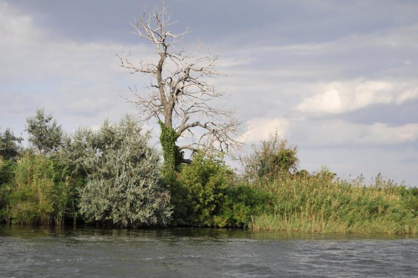 Кізомис з panoramio.com - Kizomys