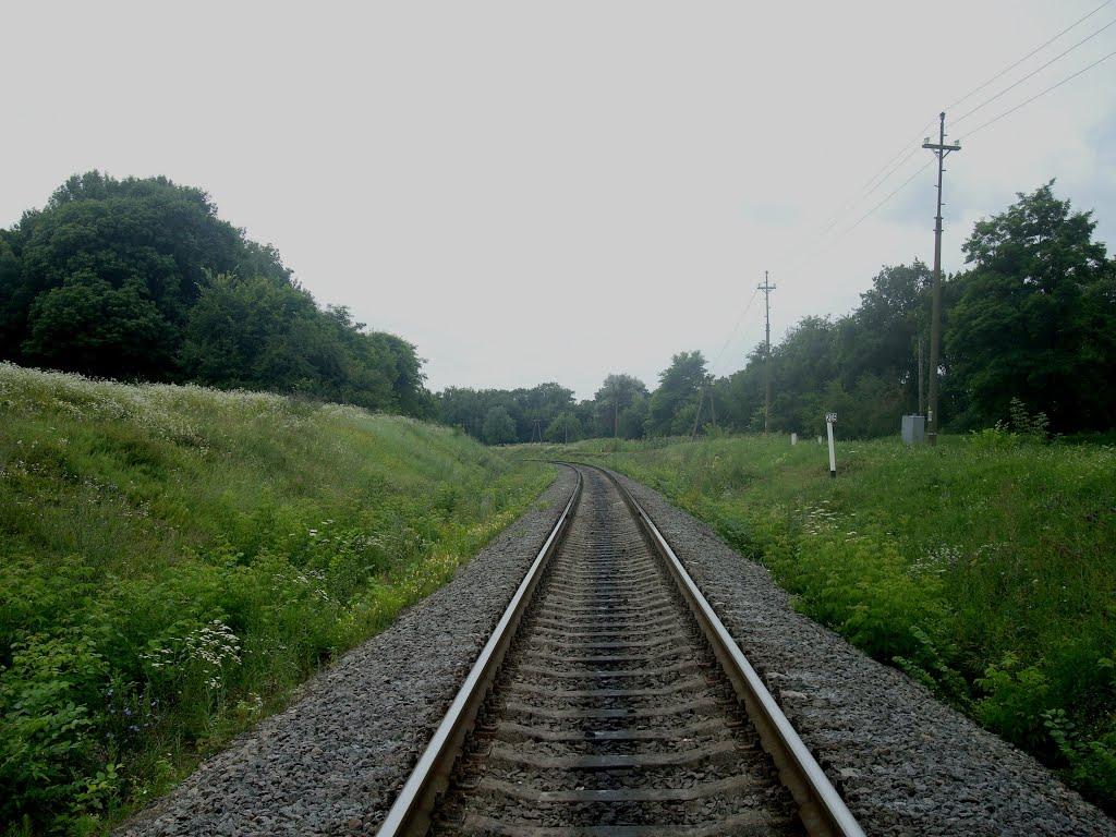 Сахкамінь з panoramio.com - Сахкамень