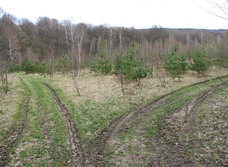 Гавареччина з panoramio.com - Гавареччина