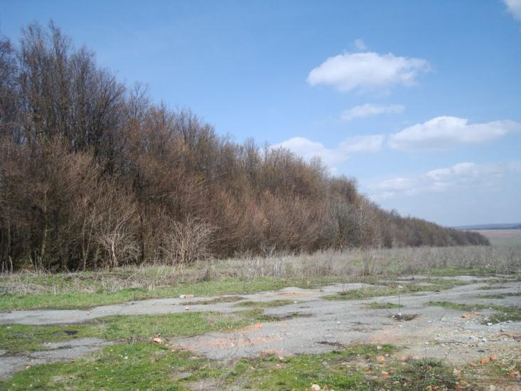 Ставчани з panoramio.com - Ставчани