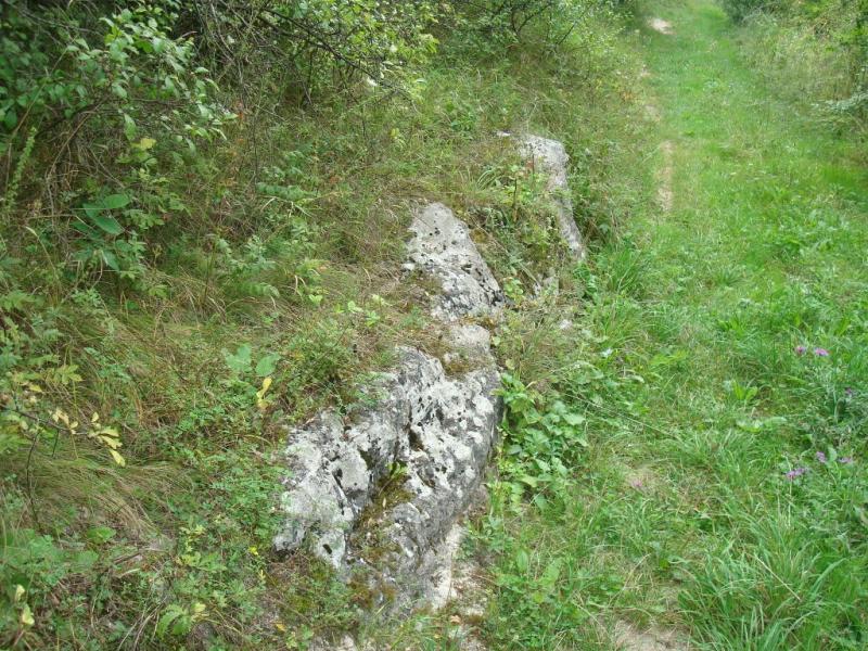 Вільховець з panoramio.com - Ольховец