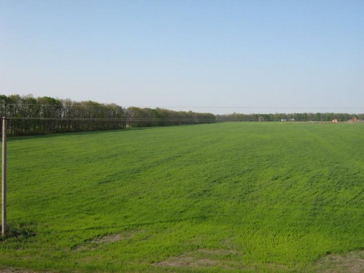Гатне з panoramio.com - Gatne
