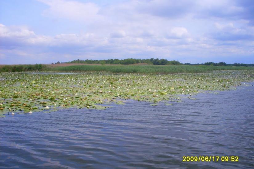 Кізомис з panoramio.com - Kizomys