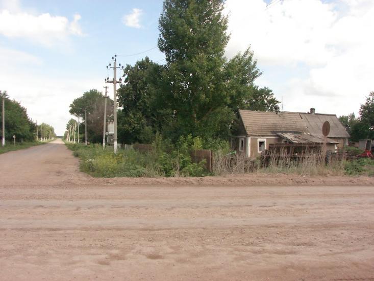 Рози Люксенбург з panoramio.com - Новое Шахово