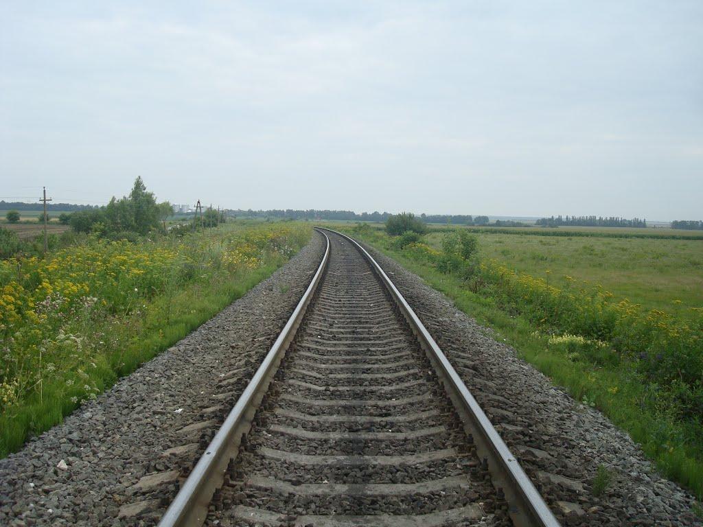 Цикова з panoramio.com - Цикова