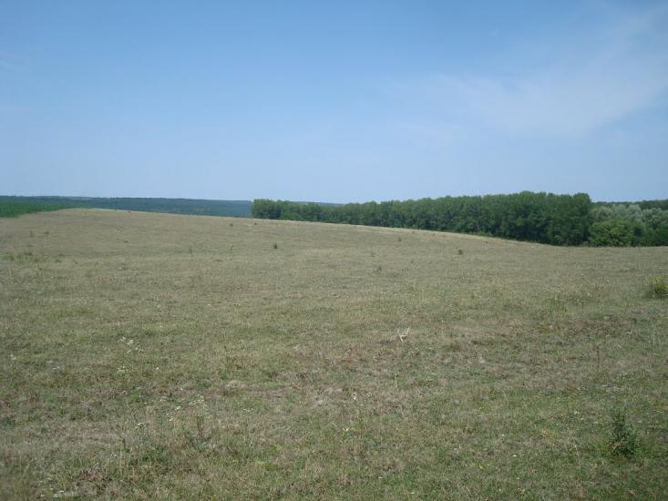 Струга з panoramio.com - Струга