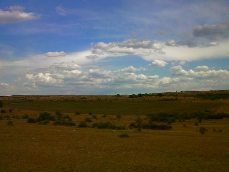 Каштани з panoramio.com - Каштани