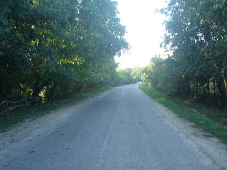 Вільховець з panoramio.com - Ольховец
