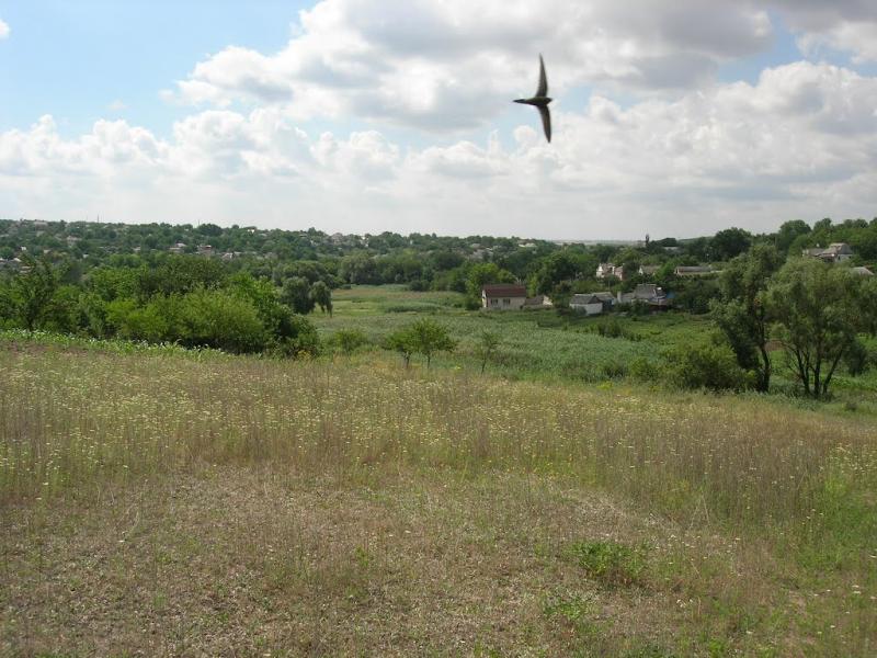 Сурсько-Литовське з panoramio.com - Сурско-Литовское