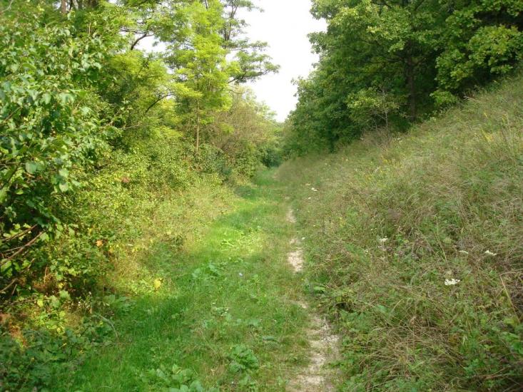 Вільховець з panoramio.com - Ольховец