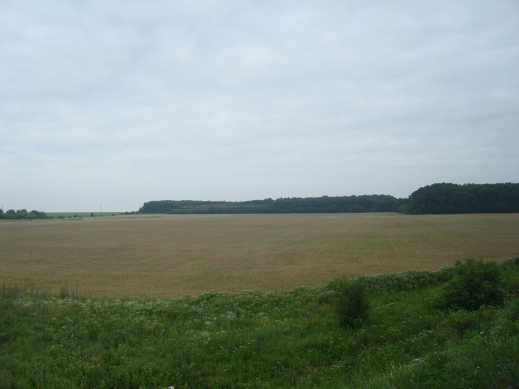 Сахкамінь з panoramio.com - Сахкамень