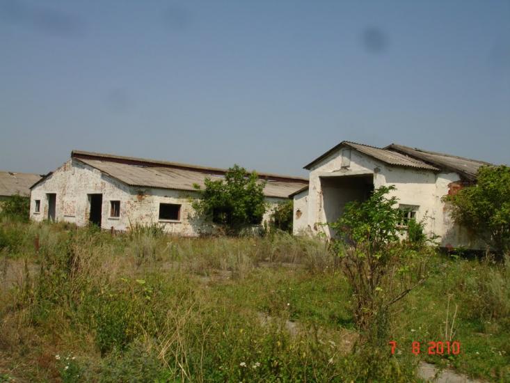 Динівці з panoramio.com - Диновцы
