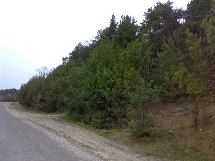 Логвин з panoramio.com - Логвин