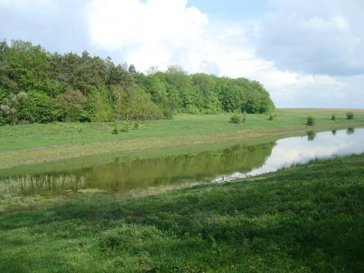 Мала Стружка з panoramio.com - Мала Стружка