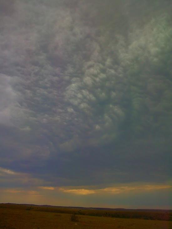 Каштани з panoramio.com - Каштани