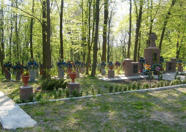 Копичинці з panoramio.com - Копычинцы