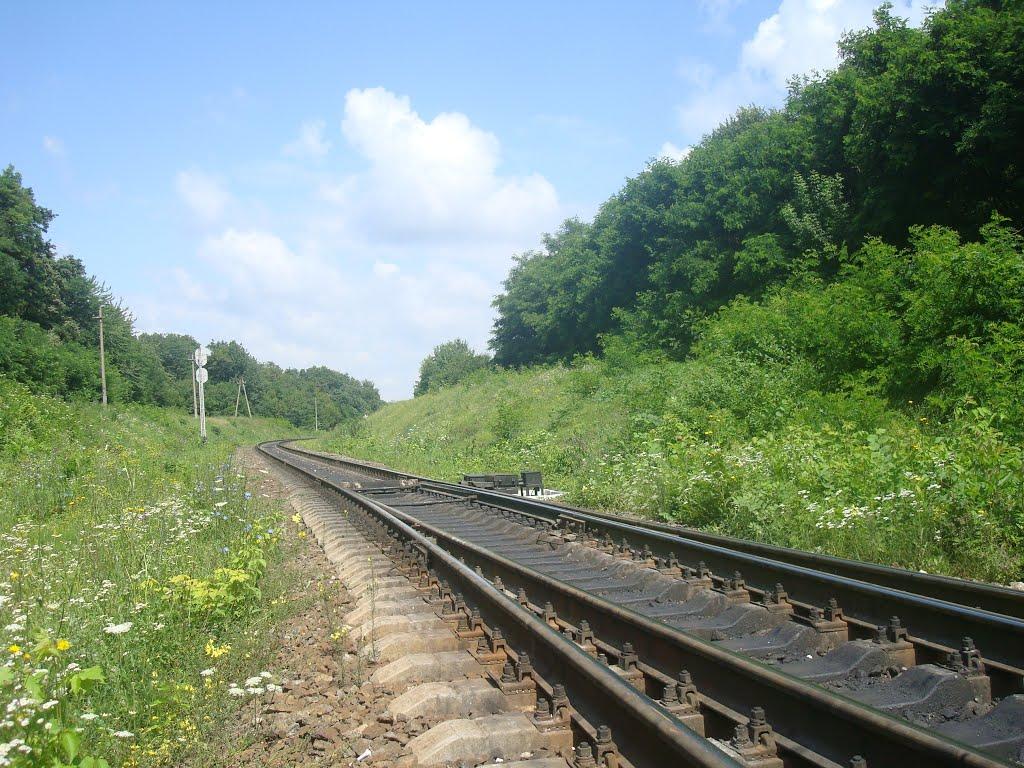Нігин з panoramio.com - Негин