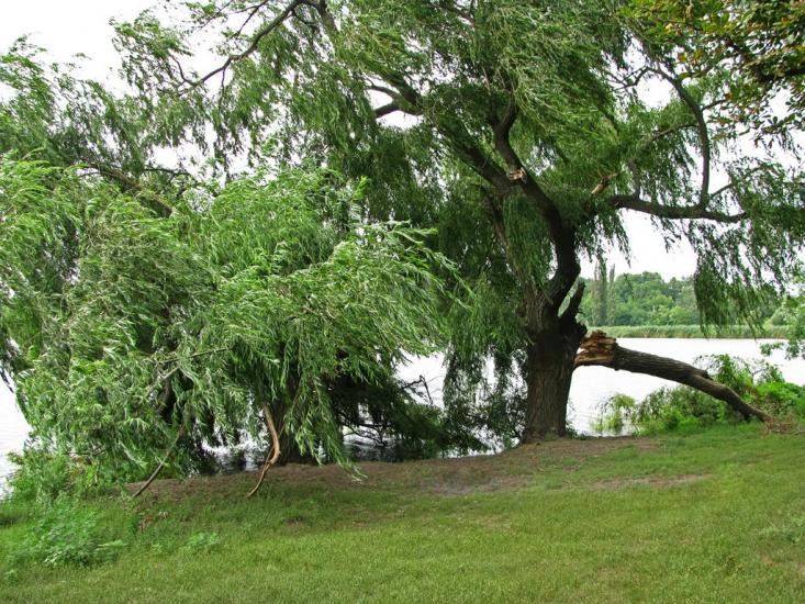 Кринички з panoramio.com - Кринички