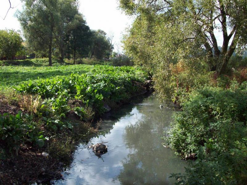 Сокільники з panoramio.com - Сокільники