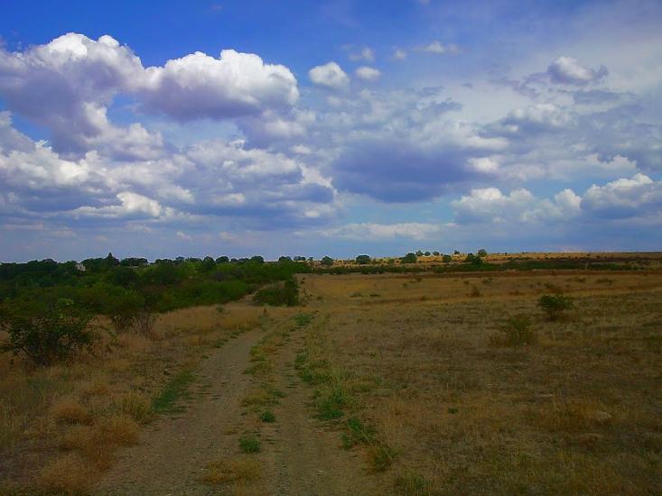 Каштани з panoramio.com - Каштани