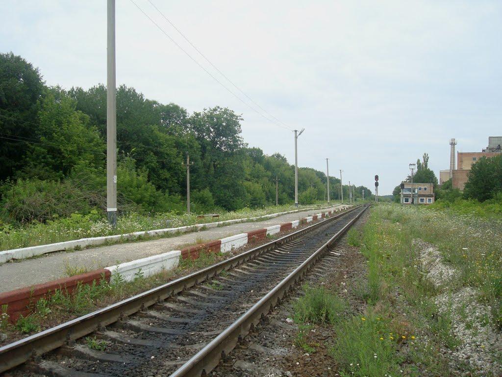 Сахкамінь з panoramio.com - Сахкамень