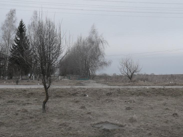 Копичинці з panoramio.com - Копычинцы