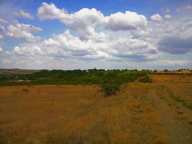 Каштани з panoramio.com - Каштани