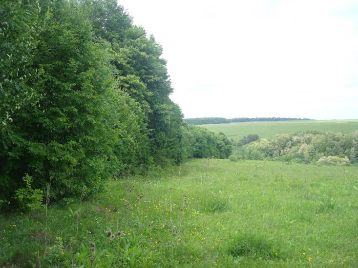 Любомирівка з panoramio.com - Любомировка