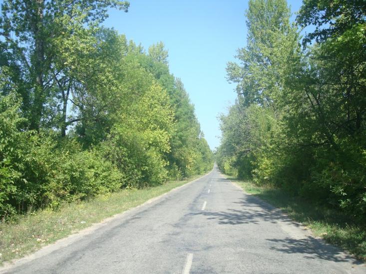 Вільховець з panoramio.com - Vilkhovets