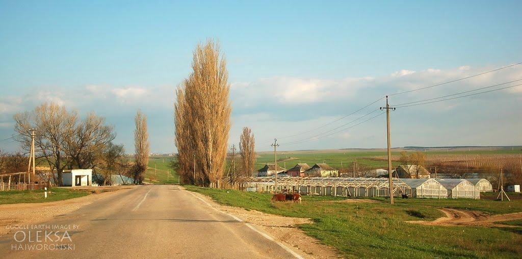Кочергіне з panoramio.com - Кочергино