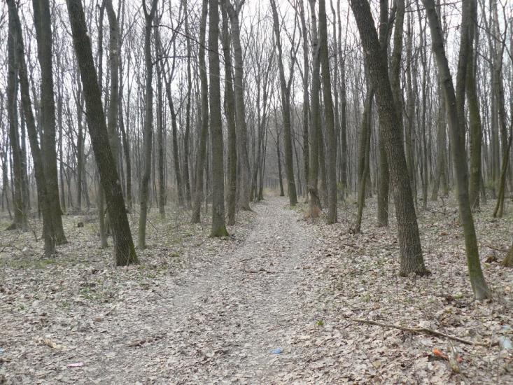 Копичинці з panoramio.com - Копычинцы