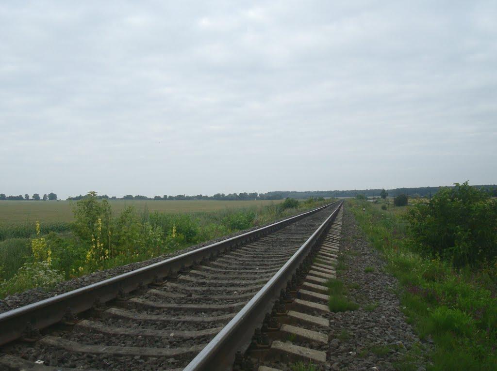 Стара Гута з panoramio.com - Старая Гута