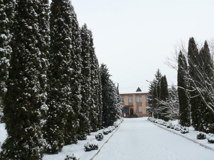 Копичинці з panoramio.com - Копычинцы