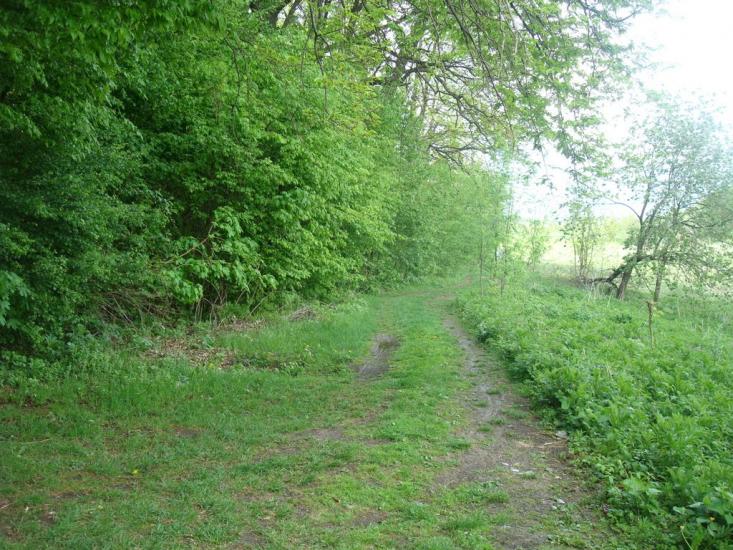 Мала Стружка з panoramio.com - Мала Стружка