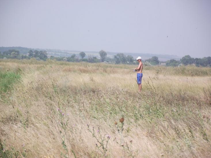 Озерне з panoramio.com - Озерне