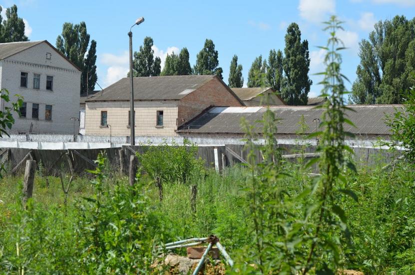 Мартусівка з panoramio.com - Мартусовка