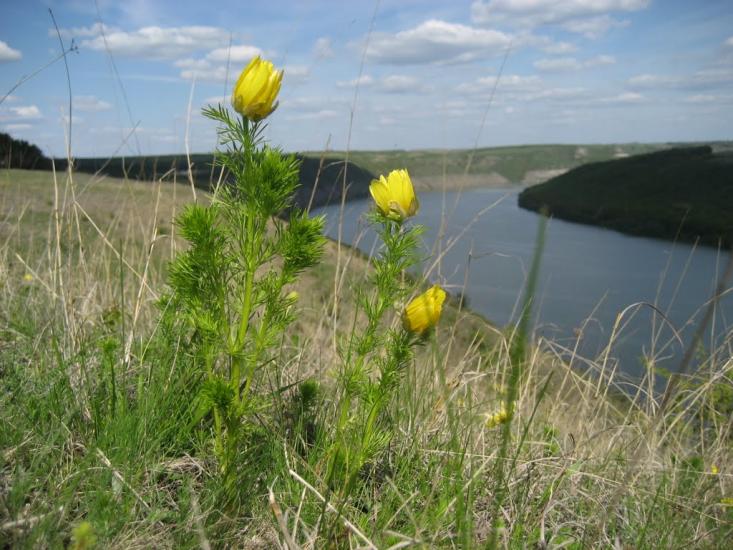 Врублівці з panoramio.com - Врублевцы