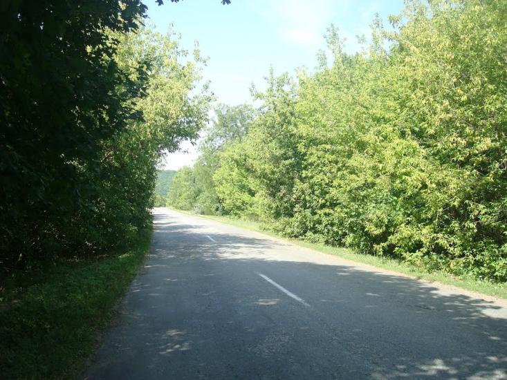 Струга з panoramio.com - Струга