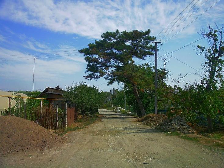 Шевченкове з panoramio.com - Шевченково