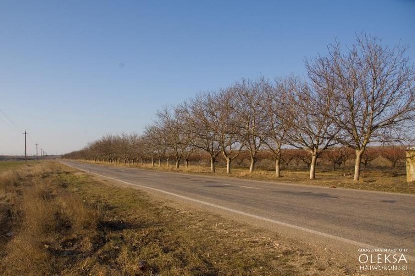Кочергіне з panoramio.com - Кочергино