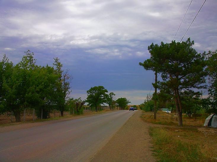 Шевченкове з panoramio.com - Шевченково