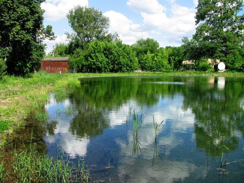 Пирогівці з panoramio.com - Пирогівці