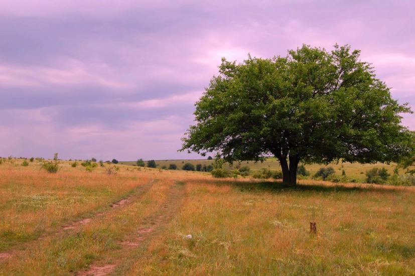 Вороновиця з panoramio.com - Вороновица
