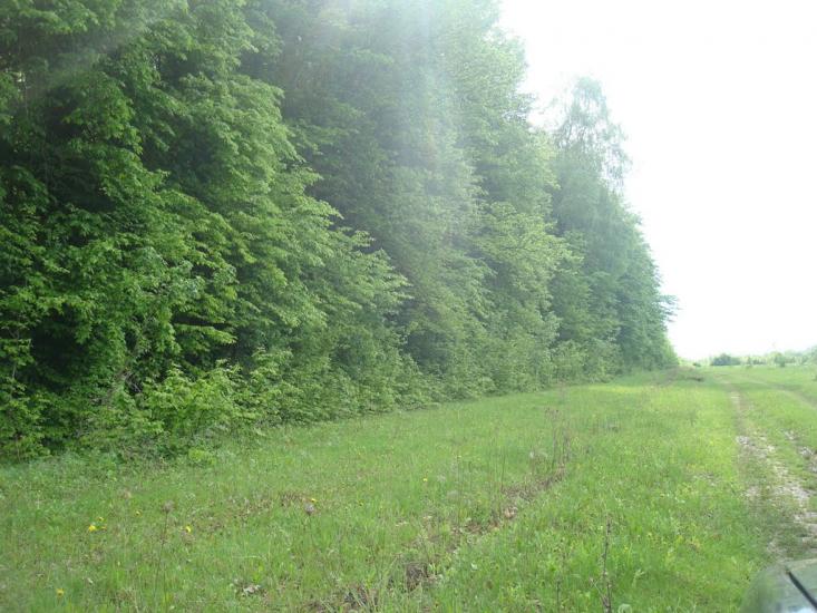 Мала Стружка з panoramio.com - Мала Стружка