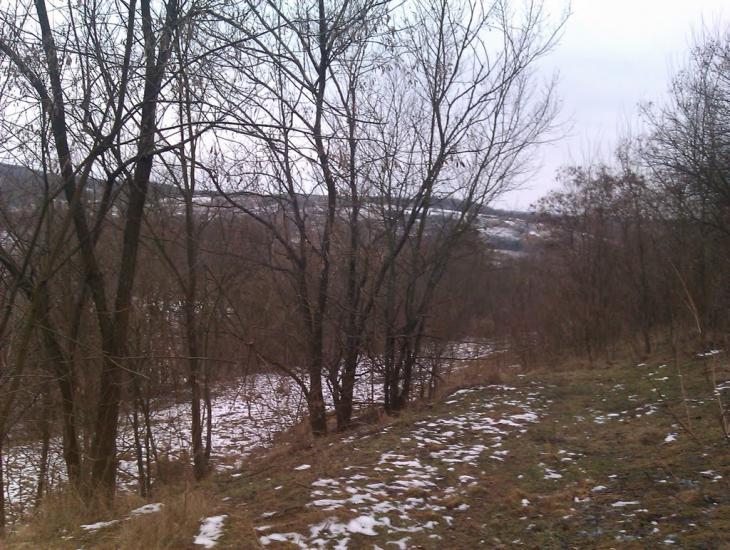 Селище з panoramio.com